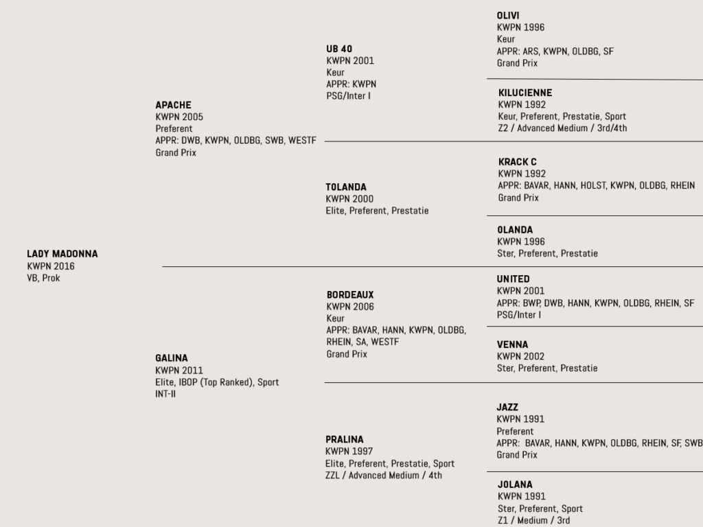 Madonna Pedigree